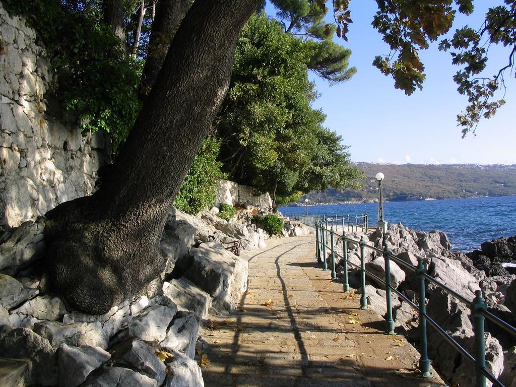 Tony 55m2 Apartman